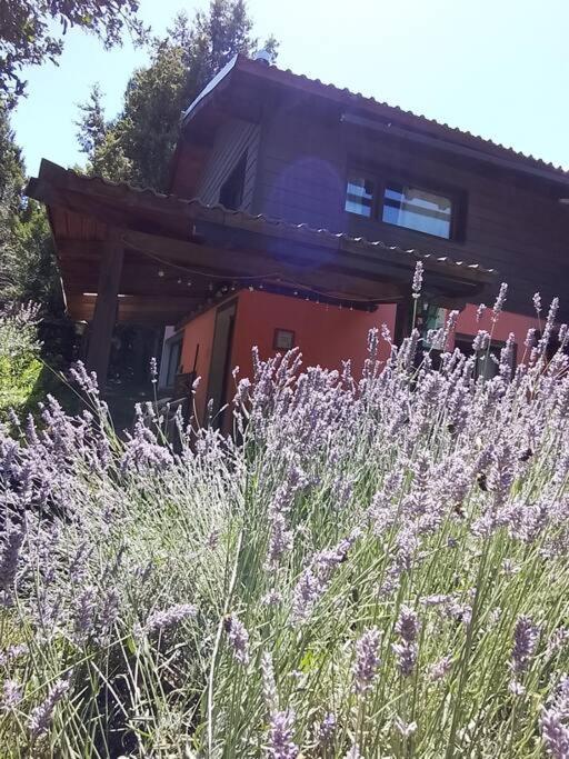 Puro Sur Cabana Catedral Villa San Carlos de Bariloche Exterior photo